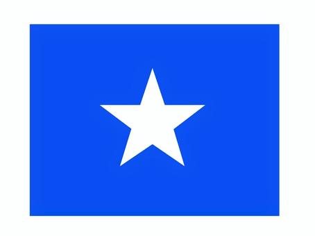 ソマリア ソマリア,国旗,掲揚,軍旗,弔旗,イラストのイラスト素材