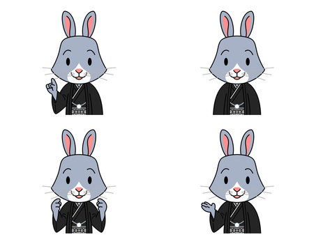 Rabbit, rabbit, herbivore, rabbit, JPG and PNG