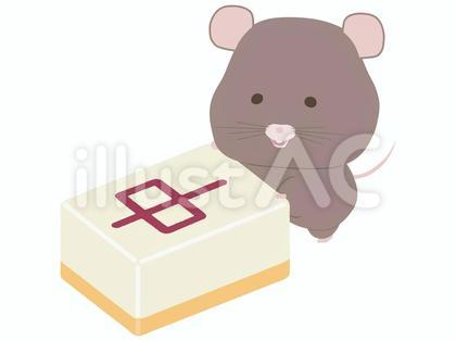 麻雀_鼠