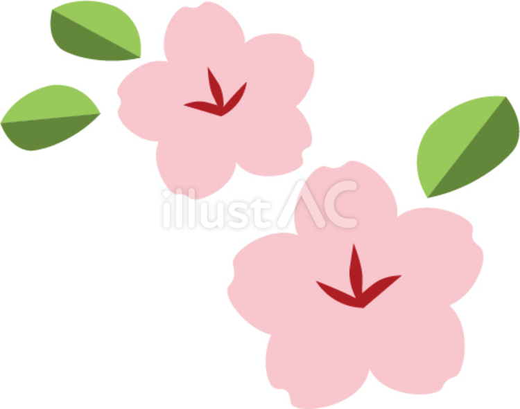 植物　桜 植物,花,桜のイラスト素材