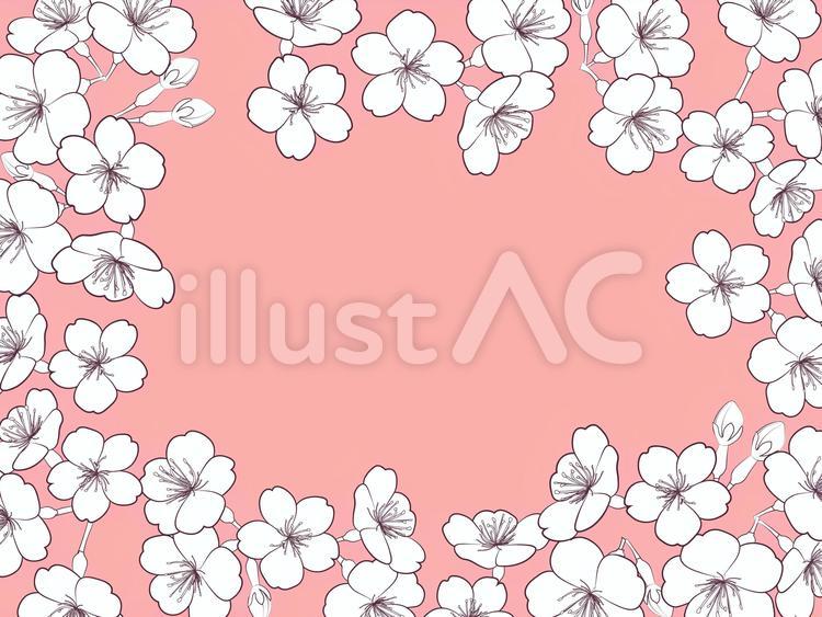 ソメイヨシノ　フレーム背景 桜,花,植物のイラスト素材