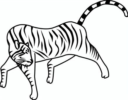 虎振り返る　 虎,猛獣,動物,干支,歩く,振り返る,模様,黄,線画,白黒のイラスト素材