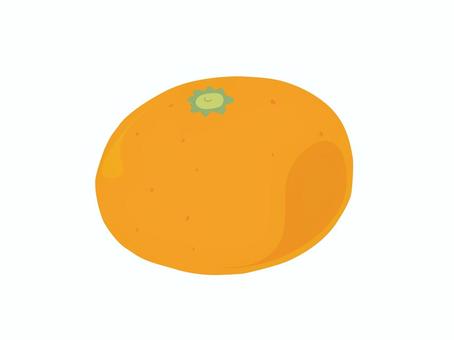 みかん 主線なし みかん,果物,食べ物,柑橘,主線あり,イラスト素材,広告,チラシ,cm,白背景のイラスト素材