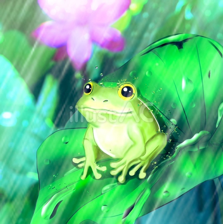 雨に当たるカエル カエル,雨,可愛いのイラスト素材