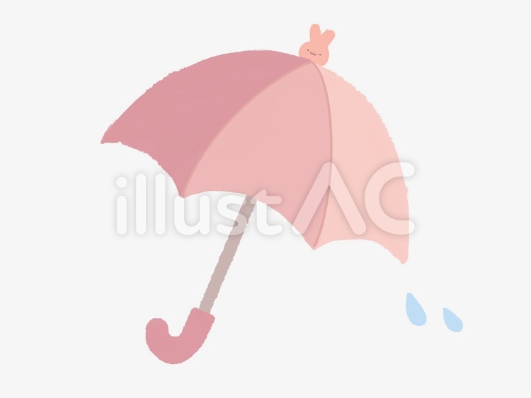【美品】イイダ傘店　KIYATA コラボ長傘　うさぎ うさぎくま 日傘 美品]イイダ傘店 KIYATA コラボ長傘 うさぎ