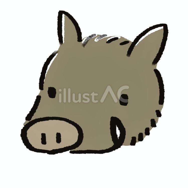 いのししのゆるい手描きカラーイラスト いのしし,動物,かわいいのイラスト素材