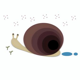 カタツムリ カタツムリ,昆虫,夏,梅雨,生き物,生,可愛い,イラストのイラスト素材
