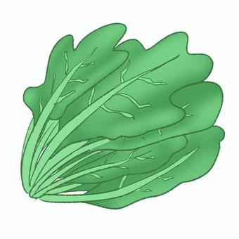 ほうれん草 野菜,ほうれん草,緑,手書き,白背景,秋のイラスト素材