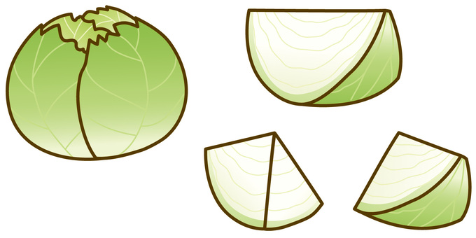 Cut cabbage, cabbage, cut, cross section, JPG, PNG and AI