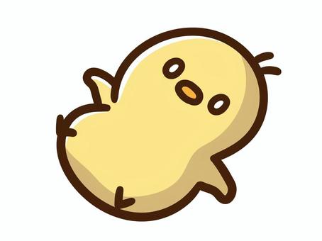 仰向けに横たわり呆然とするかわいいひよこ 仰向けに横たわり呆然とするかわいいひよこ ひよこ,呆然,ぼー,倒れる,限界,疲れた,仰向け,表現,ポーズ,かわいいのイラスト素材