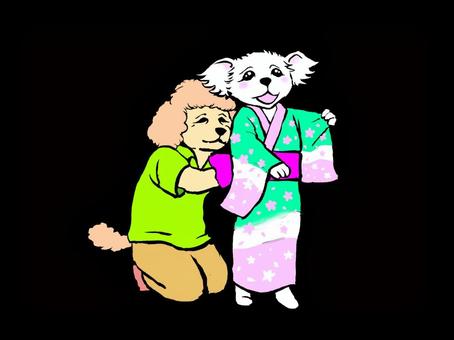 浴衣の着付け中 夏,夏祭り,犬,浴衣姿,着付けのイラスト素材