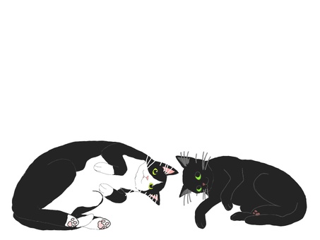 寝転んでるネコフレーム ネコ,フレーム,カワイイ,動物,ペット,白黒,黒色,寝転ぶのイラスト素材