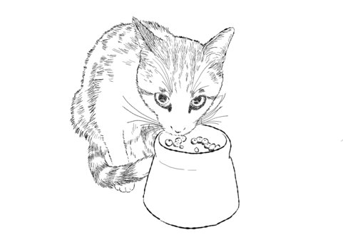cat eating cat food 4, JPG, PNG and AI cat eating cat food 4, cat, line drawing, simple, JPG, PNG and AI