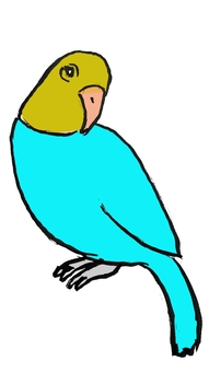 オウム オウム,小鳥,インコ,可愛い,愛らしい,飛ぶ,飼う,生物,綺麗,鳴くのイラスト素材