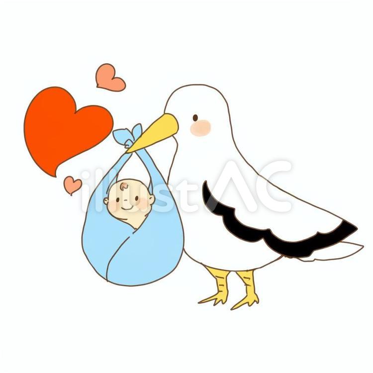 コウノトリと赤ちゃん コウノトリ,赤ちゃん,妊娠のイラスト素材