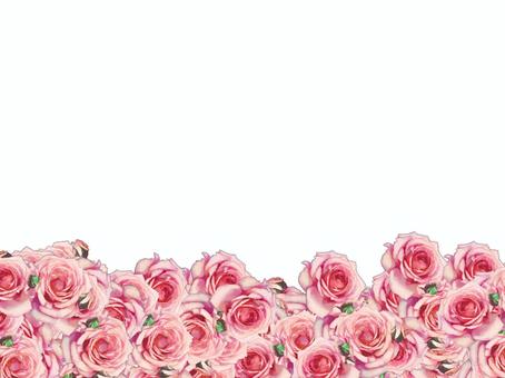 rose frame, JPG and PNG rose frame, , JPG and PNG