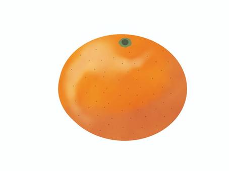 シンプルなミカン みかん,果物,フルーツ,fruit,シンプル,手書き,手描き,冬,食べ物,foodのイラスト素材