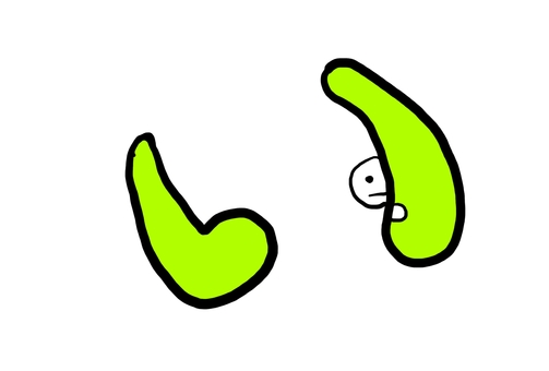 手描き×ゆるかわ＊ひらがな『い』 ひらがな,い,手描き,手書き,ゆるい,かわいい,シンプル,ポップ,キャラクター,学習のイラスト素材