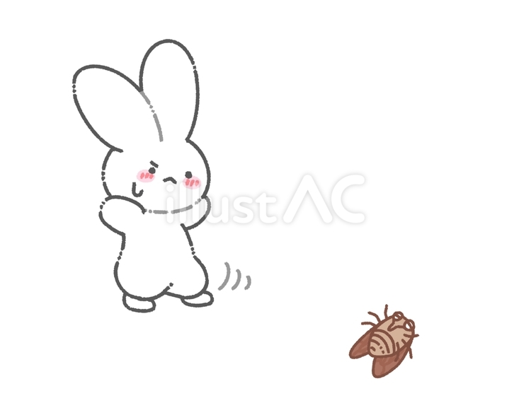 裏返ったセミを警戒する白うさぎ うさぎ,白,ホワイトのイラスト素材