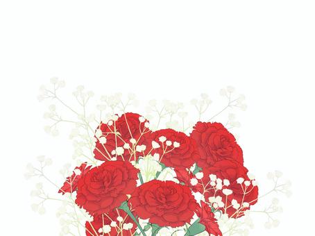 Carnation bouquet style frame, , JPG and PNG