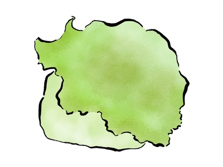 丸ごとレタス レタス,野菜,食べ物,筆絵,墨,水彩,挿絵,和風のイラスト素材