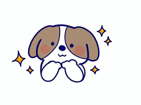 キラキラするキャバリア犬 キラキラするキャバリア犬 犬,キャバリア犬,動物,キラキラ,期待,お願い,小型犬,中型犬,保護,手描きのイラスト素材