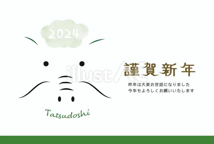 2024年　辰の顔年賀状（横向き） お正月,正月,年賀状のイラスト素材