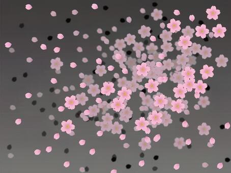 桜吹雪