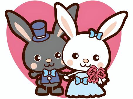 Illustration, bridal, rabbit, marry, 