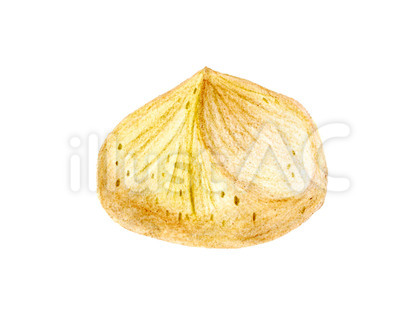 秋の和菓子04(色鉛筆画)