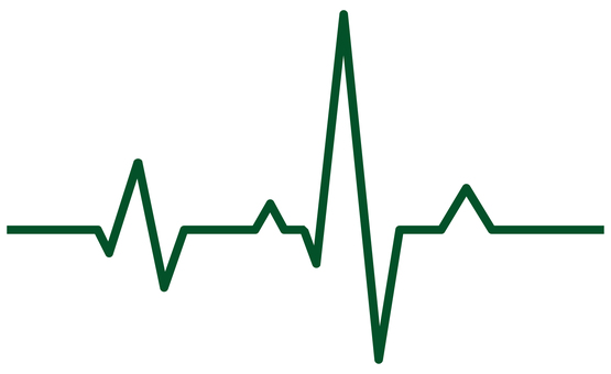 心電図　波形 心電図,波形,健康,ドキドキ,シンプル,アイコン,挿絵,白背景,透過,無料のイラスト素材