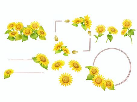 Illustration, flower, card, decoration, 