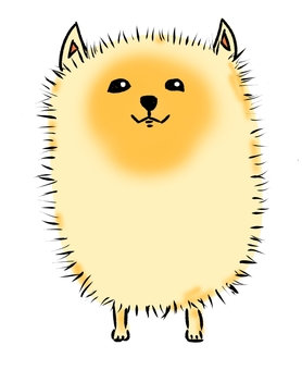ポメラニアンオレンジ ポメラニアン,オレンジ,毛色,ペット,ゆるい,かわいい,ふわふわ,手描き,小型犬のイラスト素材