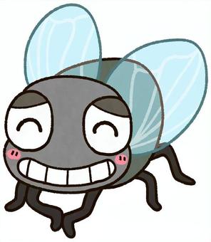 Illustration, fly, insect, pest, 