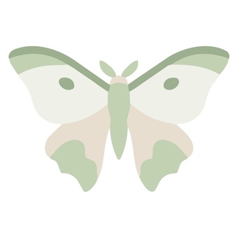蛾 蛾,ガ,昆虫,ベージュ,シンプル,イラストのイラスト素材