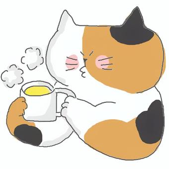 スープを飲む三毛猫ちゃん♪ かわいい,スープ,コーンスープ,温かい,熱い,冷ます,いただきます,ほかほか,飲み物,ねこのイラスト素材