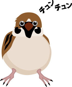 雀　 雀,小鳥,野鳥,かわいい,正面,鳴き声,顔,リアルのイラスト素材