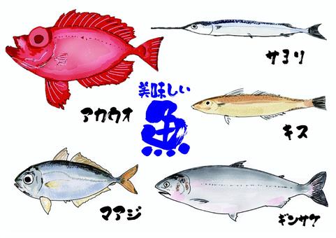 美味しい魚 美味しい魚 魚,さかな,食材,鮮魚,アカウオ,サヨリ,キス,マアジ,銀シャケ,刺身のイラスト素材