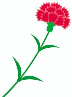 Illustration, carnation, mother's day, wallpaper, 