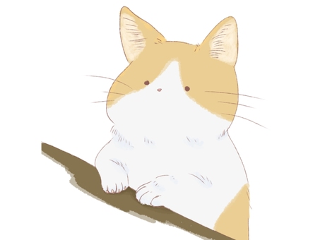 茶色猫 茶色猫 猫,動物,ペットのイラスト素材