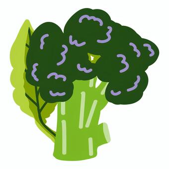 シンプル葉付きブロッコリーイラスト単体 ブロッコリー,野菜,緑黄色野菜,食材,生野菜,新鮮,みずみずしい,食べ物,サラダ,料理のイラスト素材