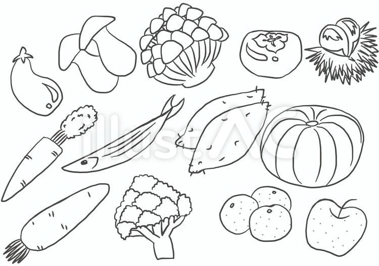 秋の食材 秋,食材,食べ物のイラスト素材