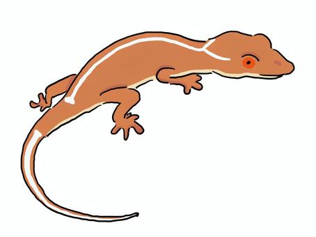 ヤモリイラスト 無料イラストなら イラストac