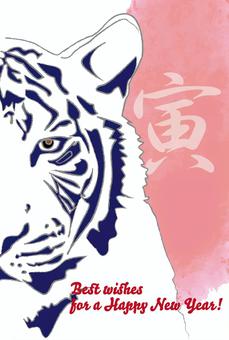 寅年の年賀状 寅年の年賀状 寅,年賀状,寅年のイラスト素材
