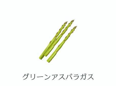 グリーンアスパラガス（野菜名入り） アスパラガス,グリーンアスパラガス,野菜,はかま,春野菜,食材,緑黄色野菜,茎,キジカクシ科,北海道のイラスト素材