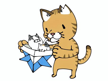 子守りをするさくら猫(トラ猫)