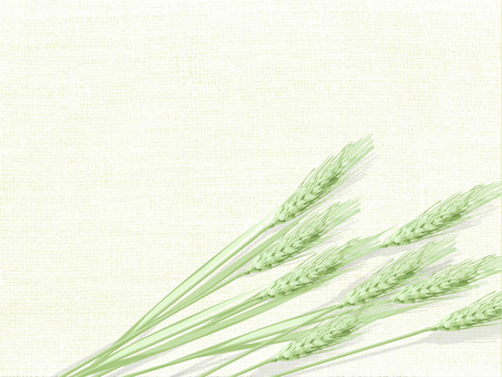 青々した緑の麦穂と麻布の背景　018 麦穂,青々,リアル,緑,ナチュラル,お洒落,自然,植物,大人っぽい,枠のイラスト素材