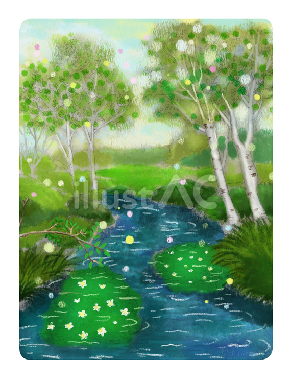白樺とバイカモの咲く北海道の小川 白樺,バイカモ,開花のイラスト素材