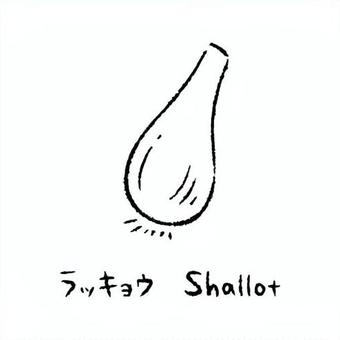 手描きのらっきょう2_名称入_白黒 らっきょう,野菜,アイコン,食べ物,シンプル,食材,健康,料理,農業,自然のイラスト素材