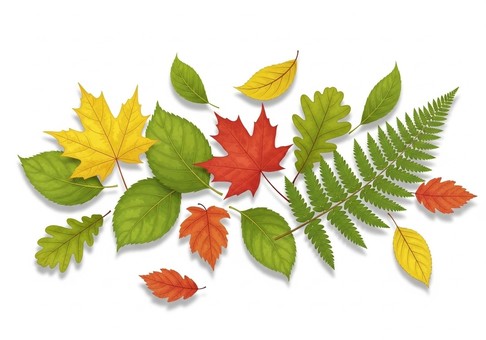 落ち葉とグリーンリーフのイラスト
